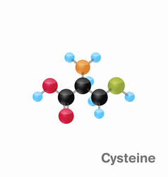 Molecular Omposition And Structure Of Cysteine