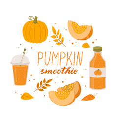 Pumpkin Smoothie Squash Glass And Bottle Set