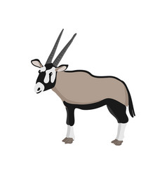 Drawing Gemsboksouth African Oryx