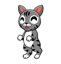 Cute Manx Cat Cartoon Standing