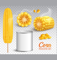 Realistic Corn Transparent Set