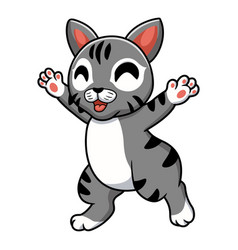 Cute Manx Cat Cartoon Raising Hands