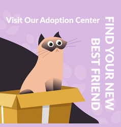 Visit Pet Adoption Center Find New Friend