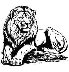 Brush Painting Ink Draw Isolated Lion