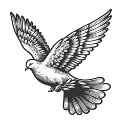 Flying Dove With Olive Branch