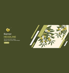 Olive Tree Branch