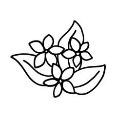 Black And White Flower For Coloring Plant