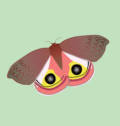 Io Moth