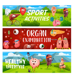 Healthy Lifestyle Sports Activity Human Organs