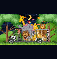 Zoo Concept With Wild Animals In The Cage Car