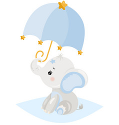 Baby Boy Elephant With Blue Umbrella