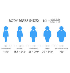 Bmi Concept Body Shapes From Underweight