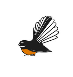 Fantail Bird