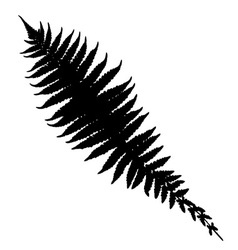 Fern silhouette Royalty Free Vector Image - VectorStock