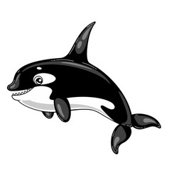 Cartoon Orca Isolated