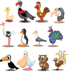 Different Kinds Of Birds Setof