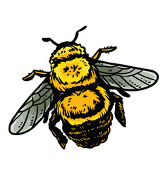 Bumble Bee Cartoon Icon Insect Outline Comic