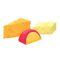 Different Types Of Cheese Blocks