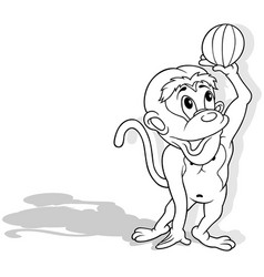 Drawing Of Monkey Holds A Beach Ball