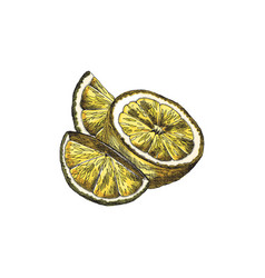 Juicy Lemon Heap Of Half Cut And Slices Hand Drawn