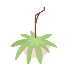 Suspended Potted Plant Semi Flat Color Object