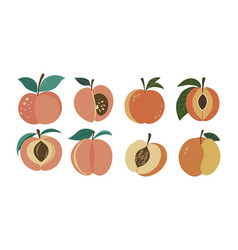 Hand Drawn Abstract Peach Fruits Set