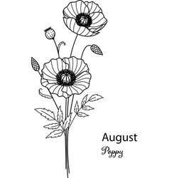 August Poppy