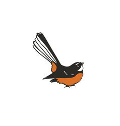 Fantail Bird