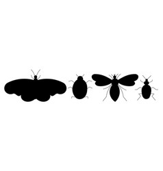 Set Black Insect Beetle Butterfly Bee Ladybug