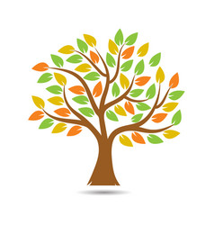 Colorful Tree Logo Big Tree Logo Icon Stock