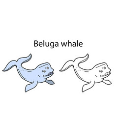 Funny Cute Animal Beluga Whale Isolated On White