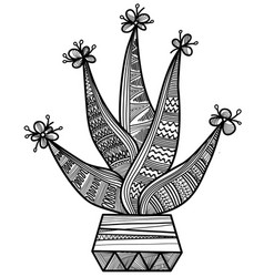 Cactus Suculent Hand Drawn Black