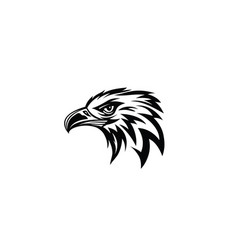 Eagle Face Icon