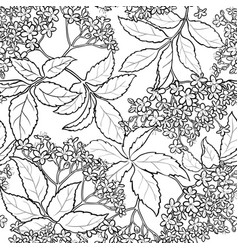 Elderflower Seamless Pattern