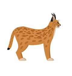 Wild Lynx Cartoon Character