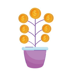 Coins Money Dollars Plant