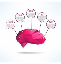 Brain infographic template for human head Vector Image