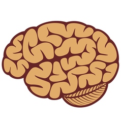 Brain Vector Images (over 190,000)