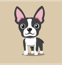 Cartoon Boston Terrier Dog