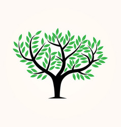 Green Tree Logo Big Tree Icon Stock