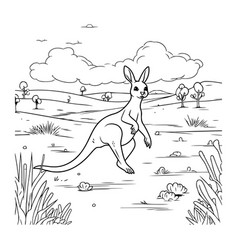 Kangaroo In The Field Coloring Book For Adults