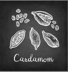 Cardamom Chalk Sketch Set