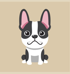 Cartoon Boston Terrier Dog