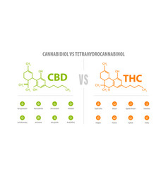 Cbd Vs Thc List Differences With Icons