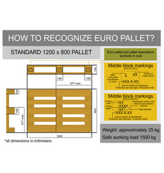 Euro Pallet