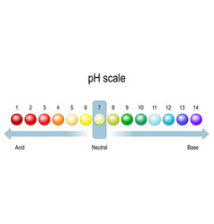 Ph Scale Chart Of Value