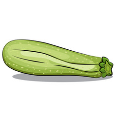 Zucchini Or Courgette Isolated On Transparent