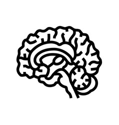 Neurology Brain Line Icon