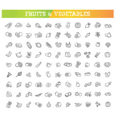 Fruit flat design thin line icon set Royalty Free Vector