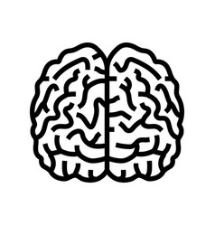 Brain Human Line Icon